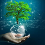 Exploring Hyderabad’s GreenTech Startups: Innovating for a Sustainable Future